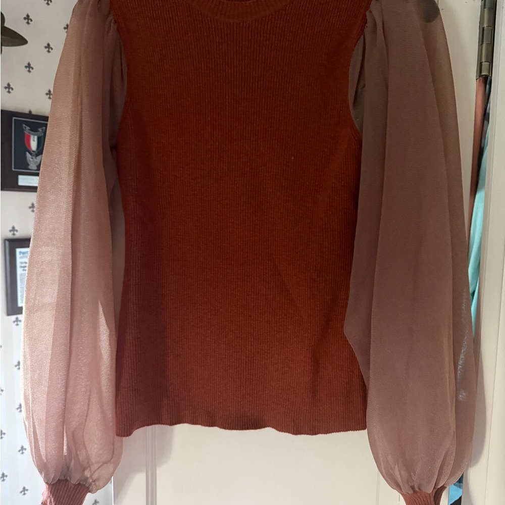 Ulla Johnson  Rust Sweater with Sheer Sleeves